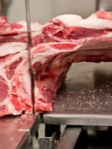 تیغ اره نواری برش گوشت گرم لورنز آلمان LORENZ Meat Cutting Band Saw Blade