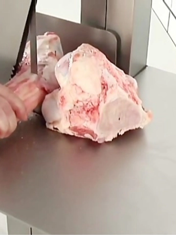 تیغ اره نواری استخوان بر لورنز آلمان LORENZ Bone Cutting Band Saw Blade